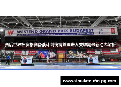 赛后世界杯资格赛备战计划伤病管理进入关键期最新动态解析
